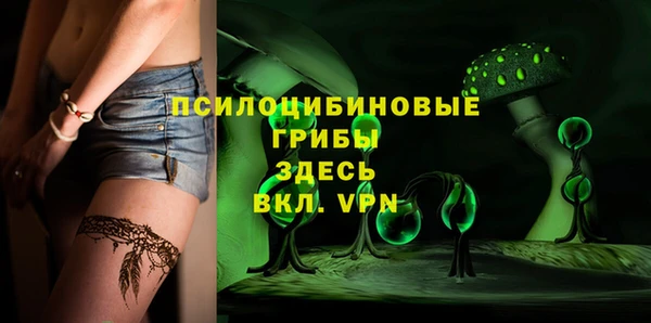 крисы Алзамай