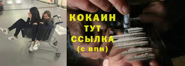 крисы Алзамай
