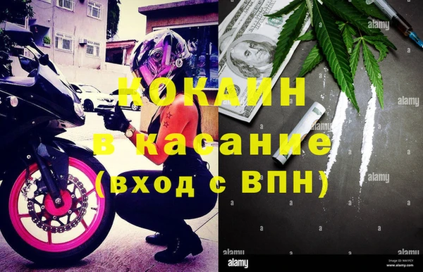 крисы Алзамай