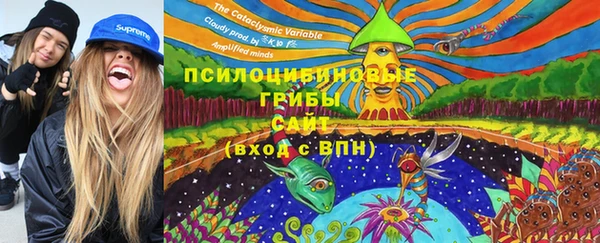 синтетический гашиш Алексеевка