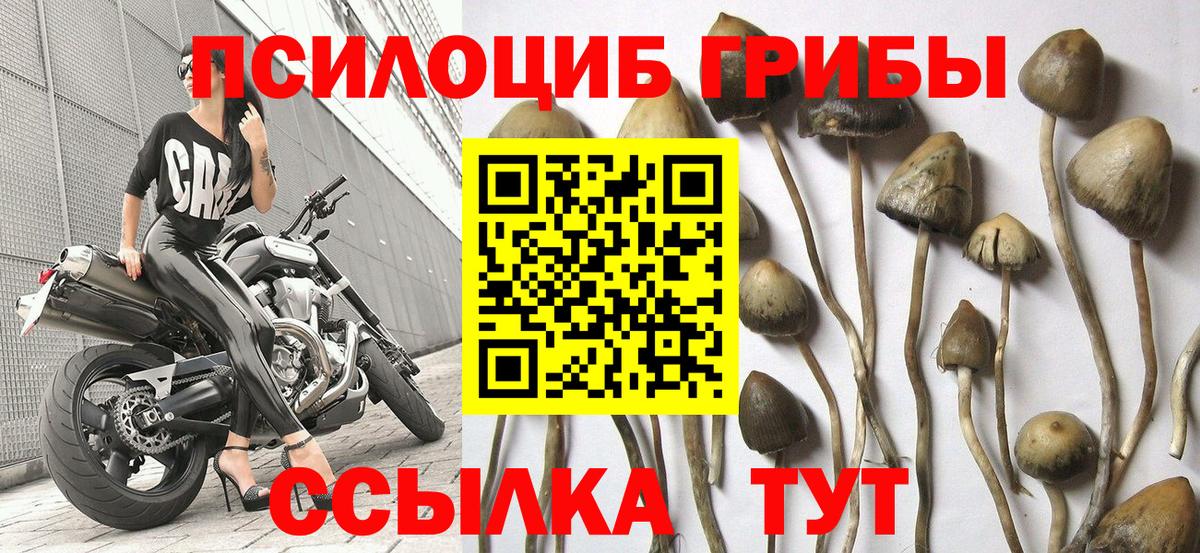 Галлюциногенные грибы мухоморы  Вход с VPN  Кызыл 