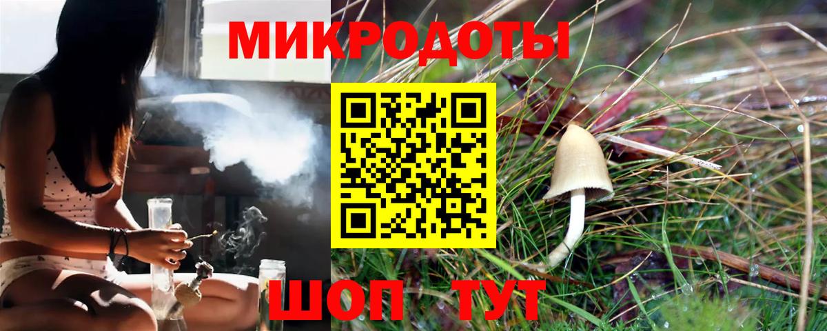 Галлюциногенные грибы Psilocybe Кызыл